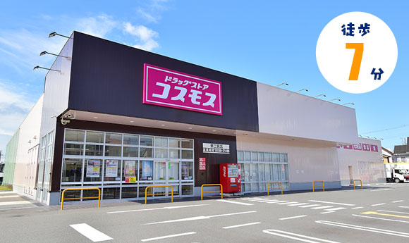 コスモス
