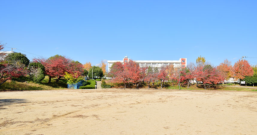 錦が丘中央公園