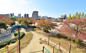 上ヶ池公園