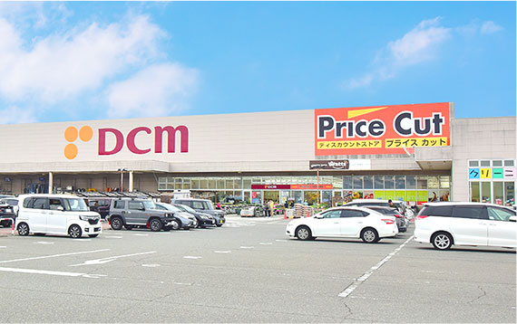 DCM
