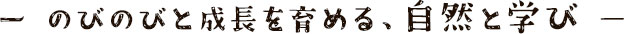 のびのびと成長を育める、自然と学び