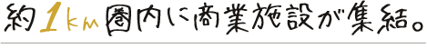 約1km圏内に商業施設が集結。