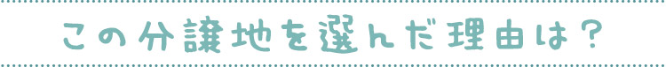 この分譲地を選んだ理由は？