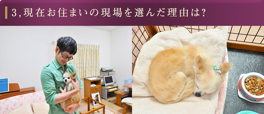 3,現在お住いの現場を選んだ理由は?
