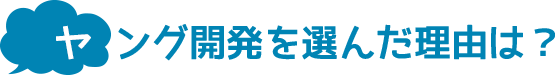 ヤング開発を選んだ理由は?