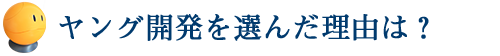 ヤング開発を選んだ理由は？