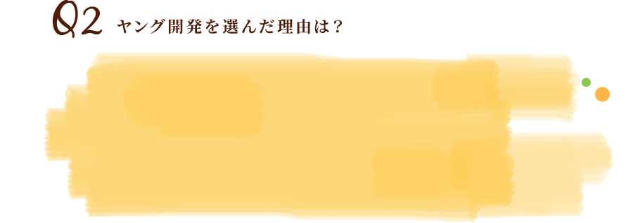 Q2ヤング開発を選んだ理由は？