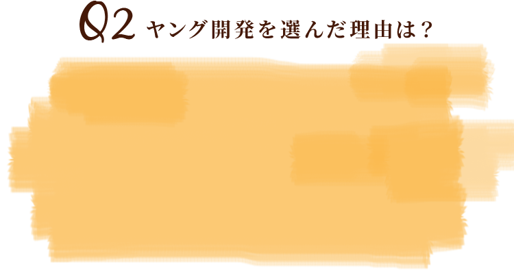 Q2ヤング開発を選んだ理由は？