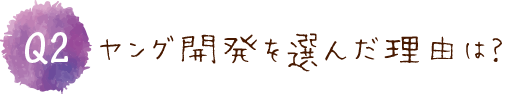 ヤング開発を選んだ理由は？