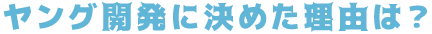ヤング開発に決めた理由は？