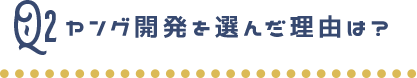 ヤング開発を選んだ理由は？
