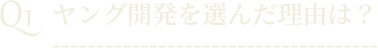 Q1ヤング開発を選んだり理由は？