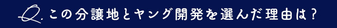 この分譲地とヤング開発を選んだ理由は？
