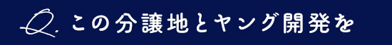 この分譲地とヤング開発