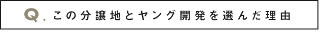 この分譲地とヤング開発を選んだ理由