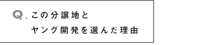 この分譲地とヤング開発を選んだ理由