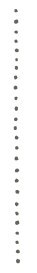 点線1