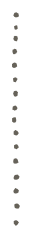 点線1