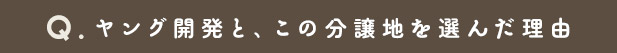 ヤング開発と、この分譲地を選んだ理由
