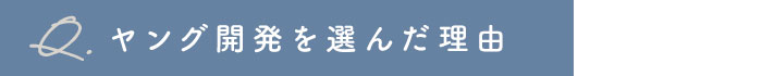 ヤング開発を選んだ理由